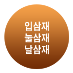 2025 ż ̸캸 Ǯ Ǯ
